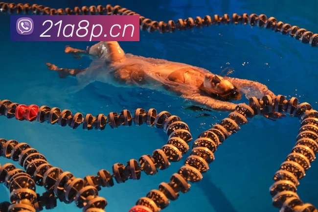 乐鱼综合体育官网品牌故事