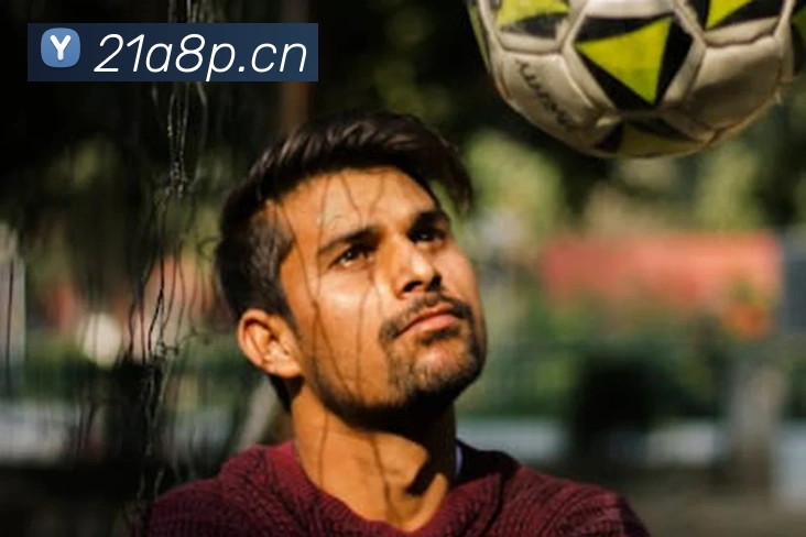 乐鱼综合体育官网服务体系